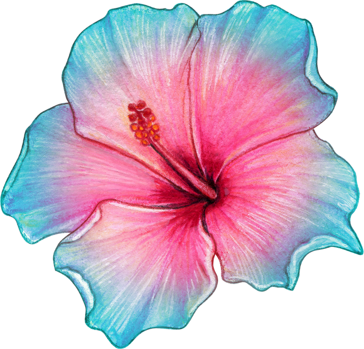 Watercolor Realistic Colorful Hibiscus Flower